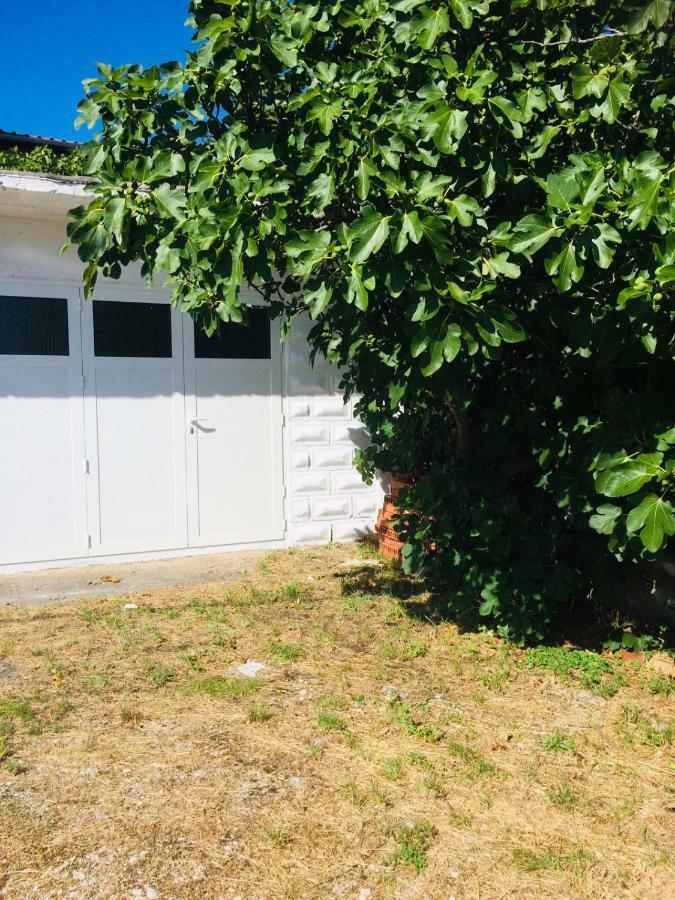 Apartment Perla - 150M From The Sea Novi Vinodolski Exterior photo